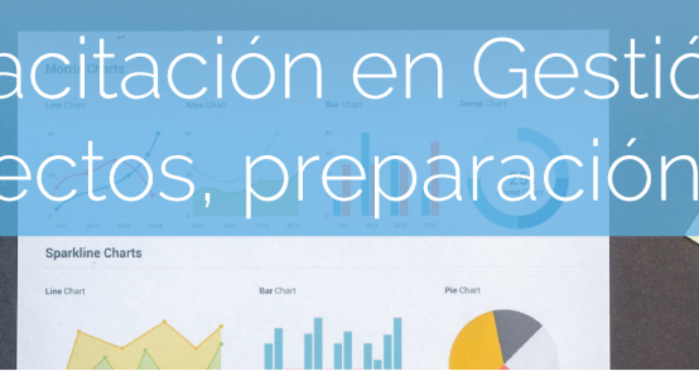 CURSO Gestión de proyectos. PMP. Inicio 14 de agosto de 2025